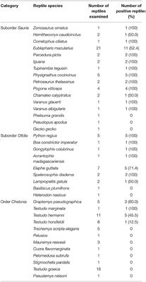 Pet Reptiles: A Potential Source of Transmission of Multidrug-Resistant Salmonella